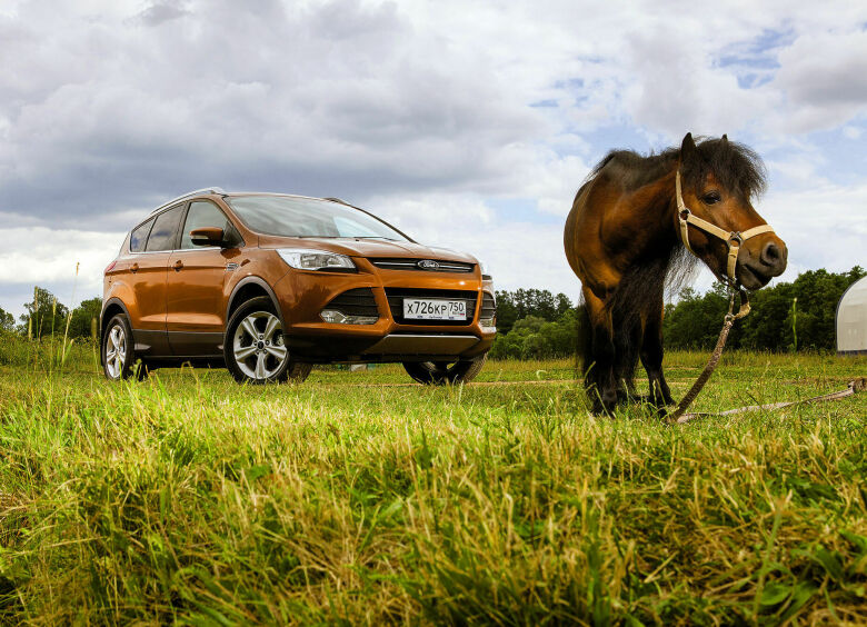 Изображение Ford Kuga: шумим, братцы, шумим