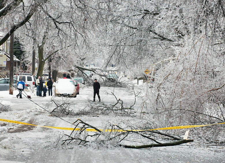 Изображение В Москве обледеневшие деревья падают на автомобили