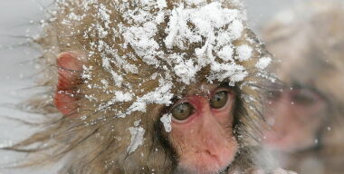 Автовладельцам нравятся пробки из-за снегоуборочной техники