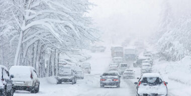 Фото: Stonybrook.edu