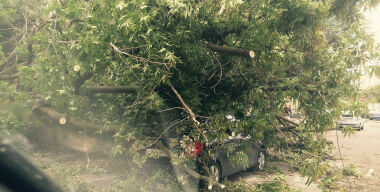 Какую компенсацию получат пострадавшие от грозы в Москве