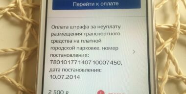 Почему не стоит проверять наличие неоплаченных штрафов на сервисе Госуслуги