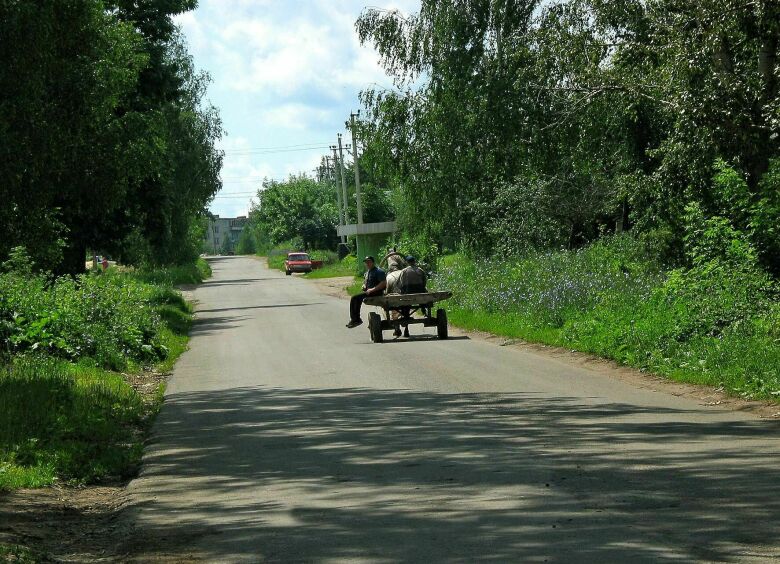 Изображение В «правах» введут категорию «водитель кобылы»