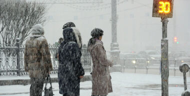 Почему пешеходов не надо любить