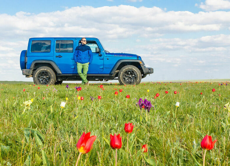 Изображение В Калмыкию на авто: в поисках черного тюльпана