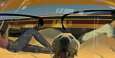 Какими станут автомобили в 2029 году