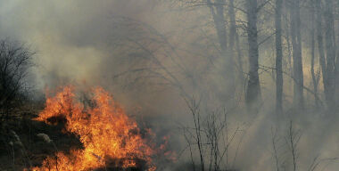 Как спасти себя и автомобиль во время лесного пожара?