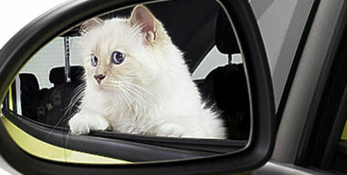 Самые сексуальные автомобильные календари-2015 