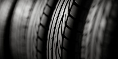 Эволюция: между Востоком и Западом