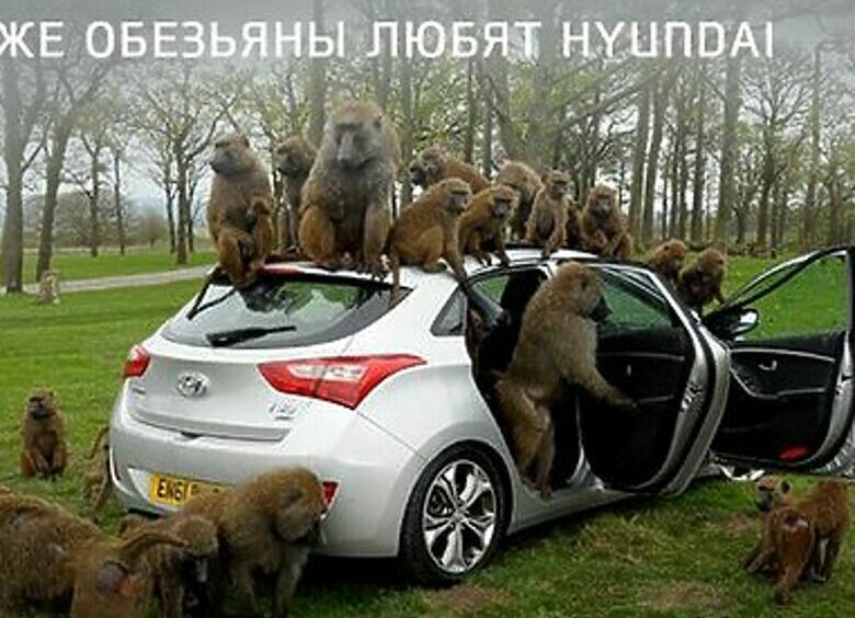 Изображение «Hyundai» считает клиентов обезьянами?!!