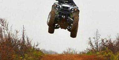 Из грязи в прыгуны