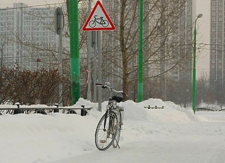 Изображение Минтранс запретит езду на скутере по велодорожкам