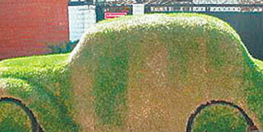 Россияне начали украшать свои авто клумбами