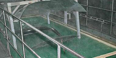 Прожектеры