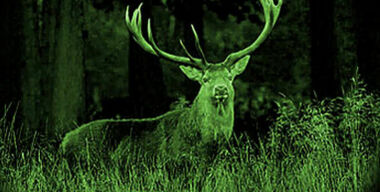 Третий глаз