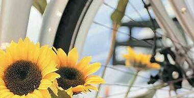 99 граммов сердца