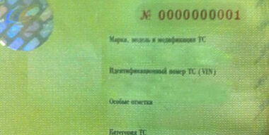 Талон ГТО позеленел