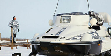 Перерождение викинга