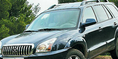 Гримасы эволюции