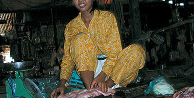 Кхмеры и химеры