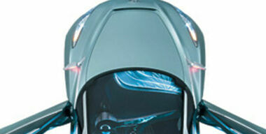 Крылья бабочки