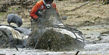 Новый русский