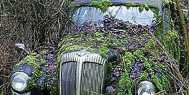 Мы нашли ваш автомобиль!