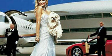 «Лошади» – не роскошь!