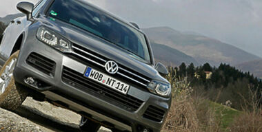 Большой и зеленый