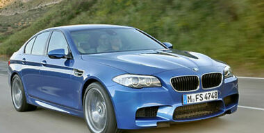 М5: колыбель для кошки