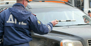 Бред ксивой кобылы