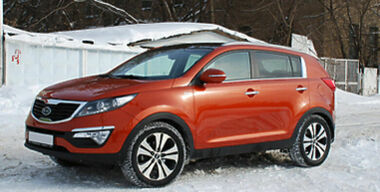 Рыжий агрессор