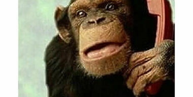 Корки с авторазборки