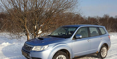 Пожар в лесу