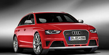 Окольцованный зверь