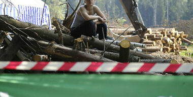 Дубрава, без которой нам жить