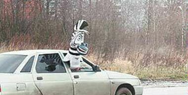 Трасса детям не игрушка