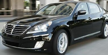 Лошадиная фамилия