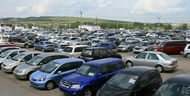 Трехлетки снова в цене