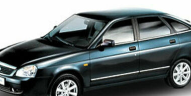 Воры потеряли трудоспособность