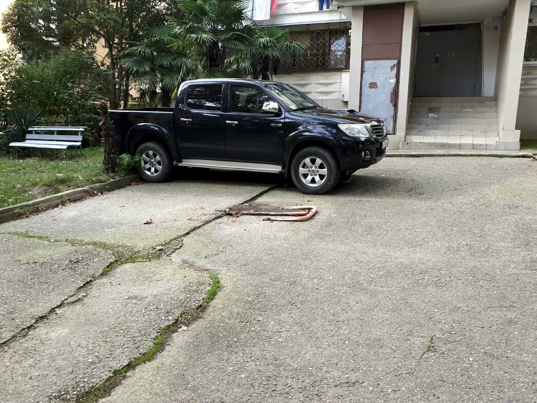 ... и четко поделены между жителями