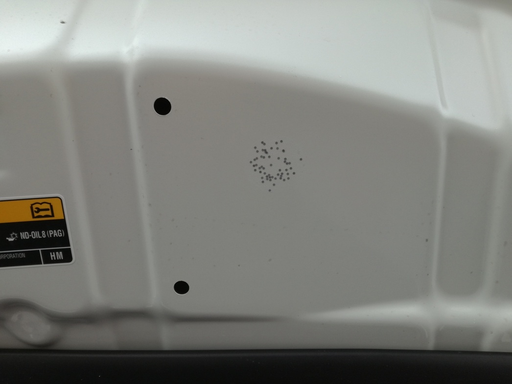 Каждая из этих точек - нанесенный лазером уникальный миниатюрный цифровой код T-mark, связанный с VIN-номером машины