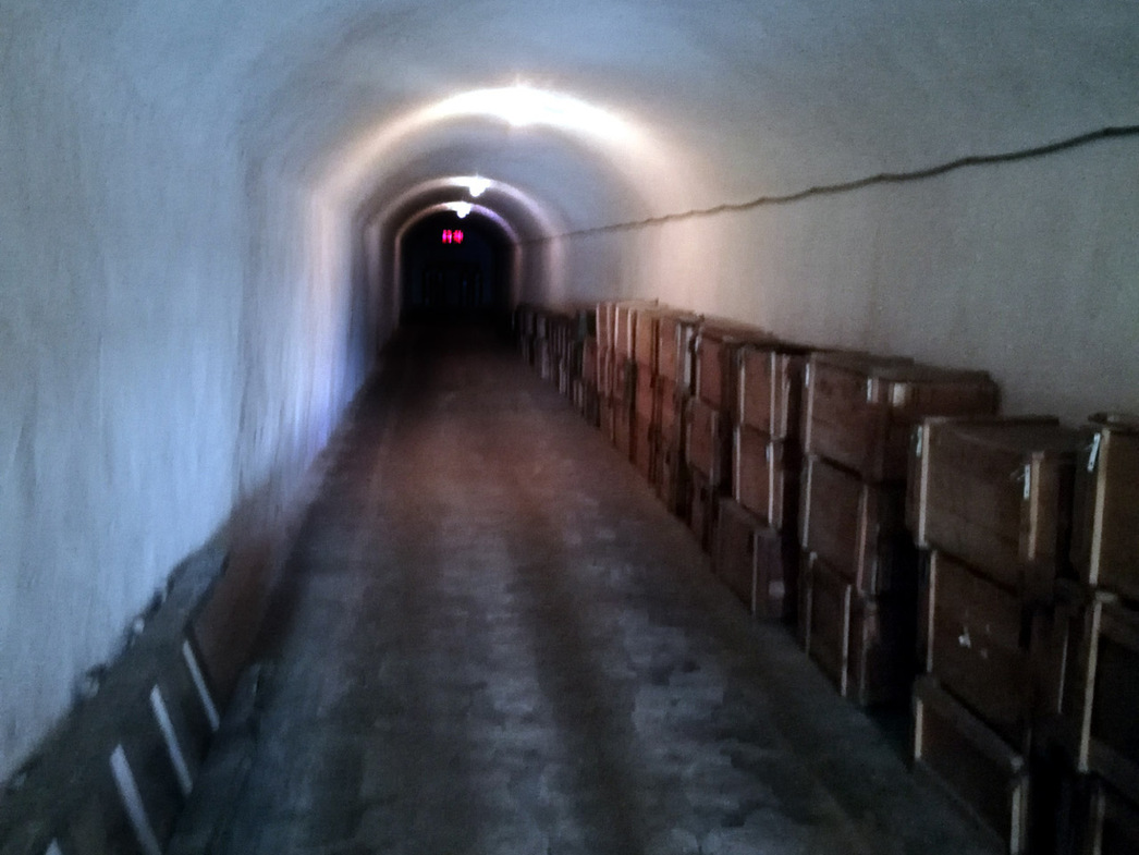 Бесконечный коридор, уходящий вниз, кажется прямой дорогой в ад