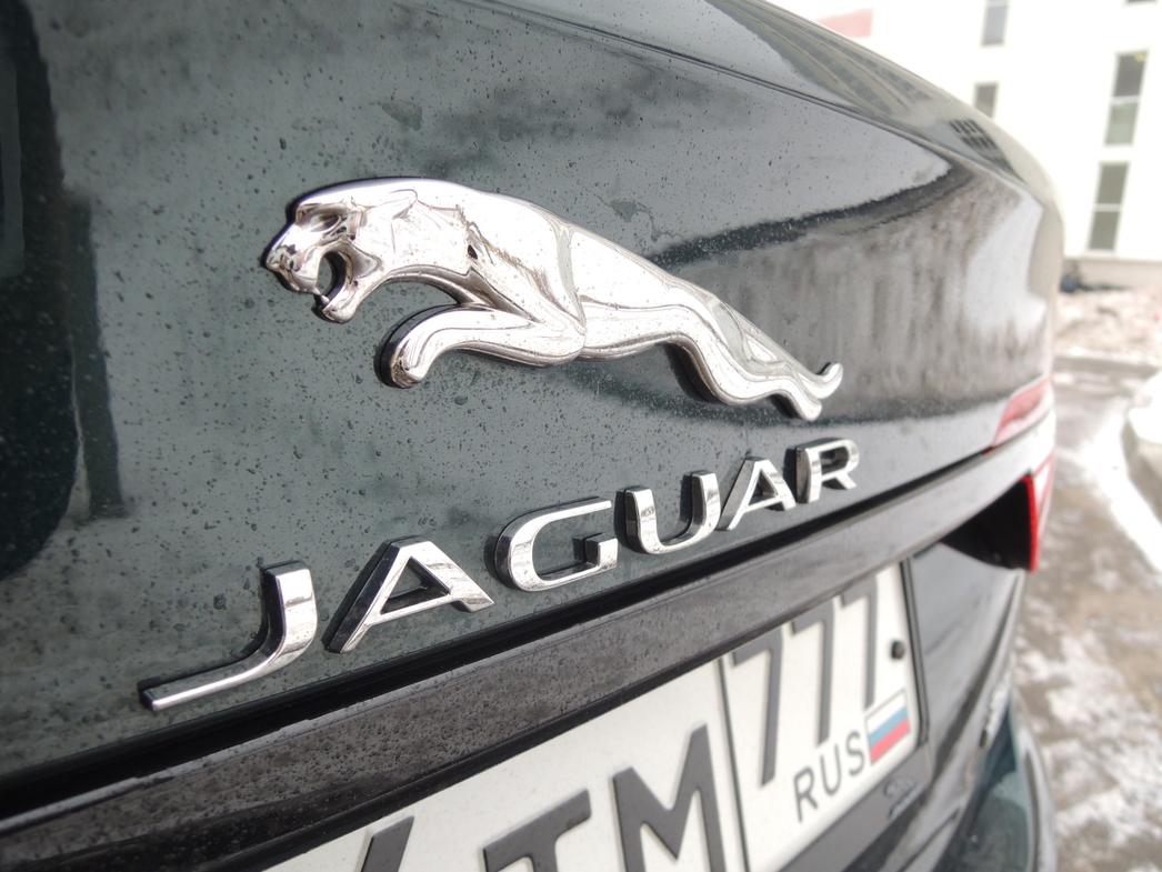 Шильдик Jaguar v6