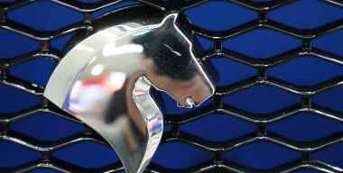 Фото globallookpress.com