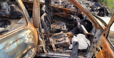 Фото: globallookpress.com