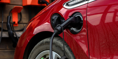 Фото: globallookpress.com