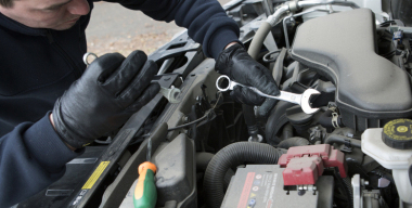 Фото globallookpress.com