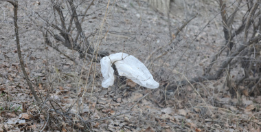 Фото globallookpress.com