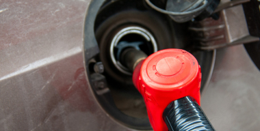 Фото: globallookpress.com